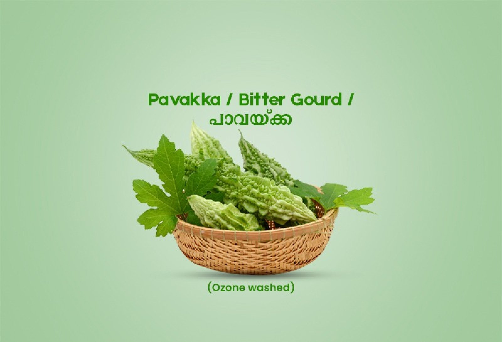 Pavakka / Bitter Gourd / പാവയ്ക്ക - 500gm Pack ( Ozone Washed)